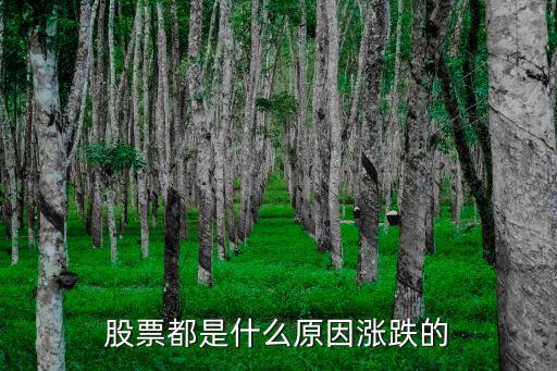 股票都是什么原因涨跌的