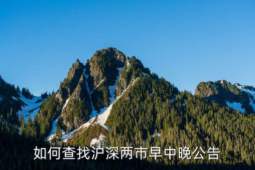 如何查找沪深两市早中晚公告