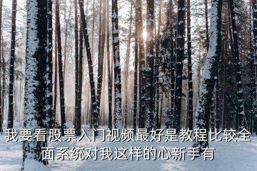 我要看股票入门视频最好是教程比较全面系统对我这样的心新手有