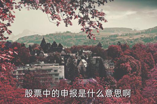 股票中的申报是什么意思啊