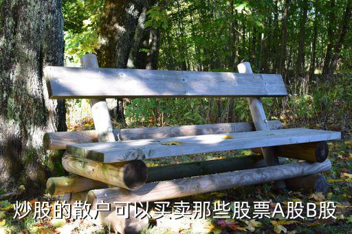 炒股的散户可以买卖那些股票A股B股