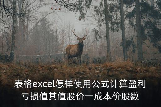 表格excel怎样使用公式计算盈利亏损值其值股价一成本价股数