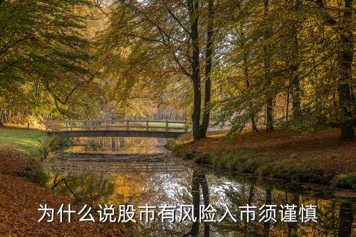 为什么说股市有风险入市须谨慎