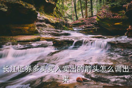 长江证券多头买入卖出的箭头怎么调出来