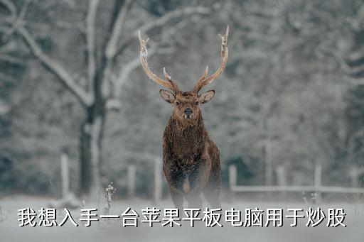 怎么入手苹果股票，怎么样在苹果手机上买股票