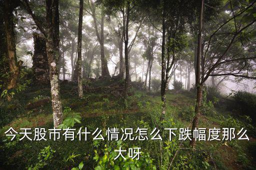 股票今天怎么跌了，今天股市有什么情况怎么下跌幅度那么大呀