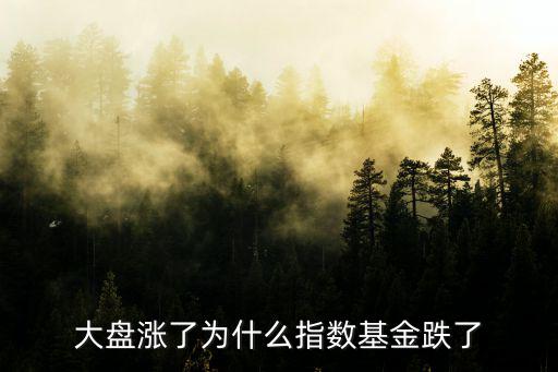 大盘涨了为什么指数基金跌了