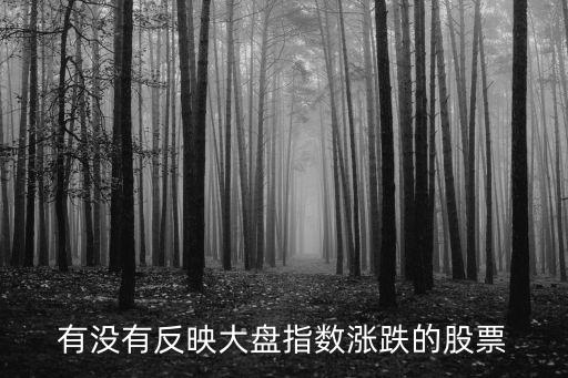 什么股票最能代表大盘指数，有没有反映大盘指数涨跌的股票