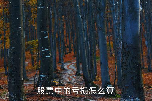 股票中的亏损怎么算