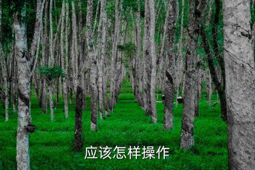 应该怎样操作