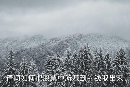 请问如何把股票中所赚到的钱取出来