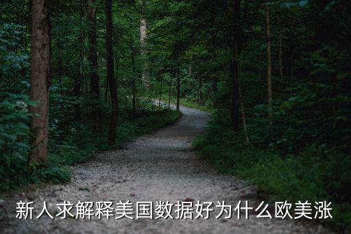 欧美股票为什么大幅涨，新人求解释美国数据好为什么欧美涨