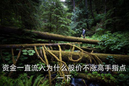 持仓股票怎么不涨，股票怎么不会涨