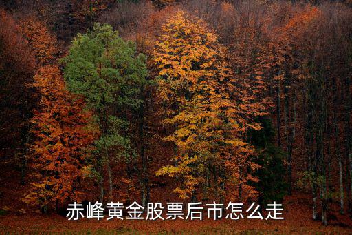 赤峰黄金股票后市怎么走