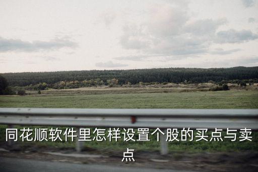 同花顺软件里怎样设置个股的买点与卖点