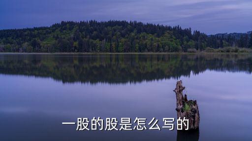 一股的股是怎么写的