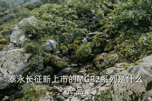 泰永长征股票什么概念，泰永长征新上市的MGR2系列是什么产品