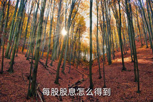 每股股息怎么得到