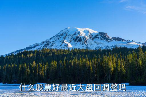 什么股票好最近大盘回调整吗