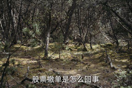 股票撤单是怎么回事