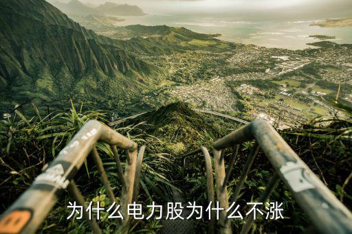 为什么电力股为什么不涨