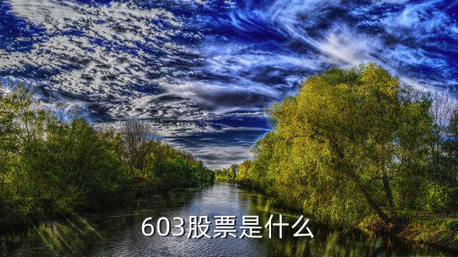 603股票是什么