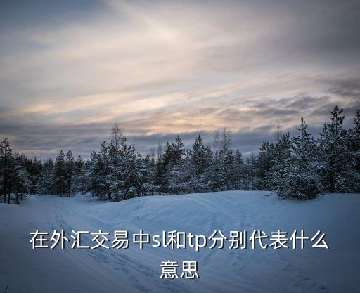 济民医疗和什么股票，在外汇交易中sl和tp分别代表什么意思