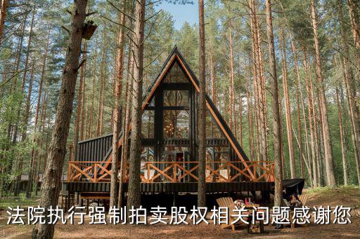 法院执行强制拍卖股权相关问题感谢您