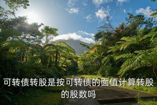 可转债转股是按可转债的面值计算转股的股数吗