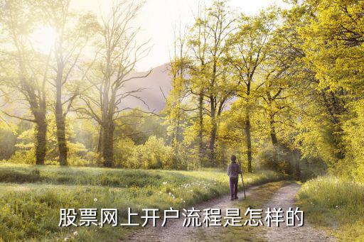 什么叫网上申请股票账号，如何网上开通股票账号