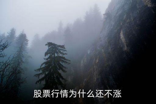 股票行情为什么还不涨
