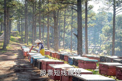 股票短线赚钱