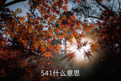 541什么意思