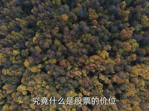 什么是股票的关注价位，要经常关注哪些股市交易价格
