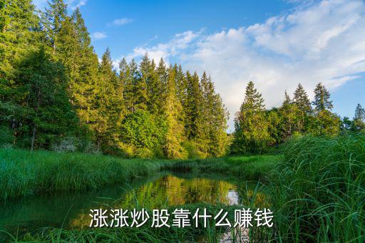 股票涨价怎么盈利，涨涨炒股靠什么赚钱