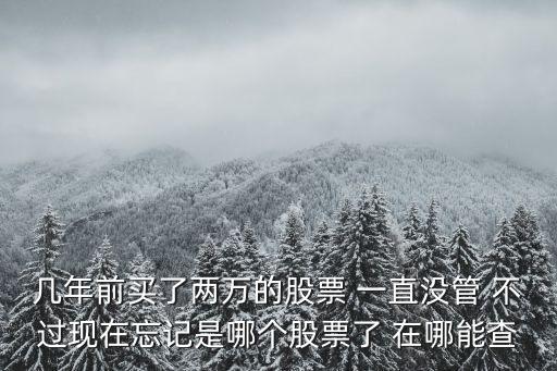 几年前买了两万的股票 一直没管 不过现在忘记是哪个股票了 在哪能查