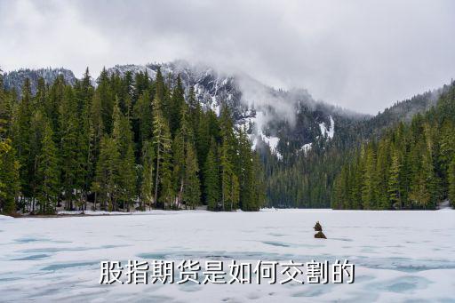 平仓股票怎么交割，股票买卖交割怎样交割都要办什么手续