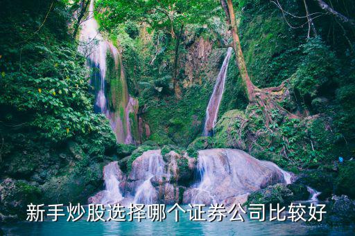 股票新手开什么证券好点，新手股票开户哪个证券好