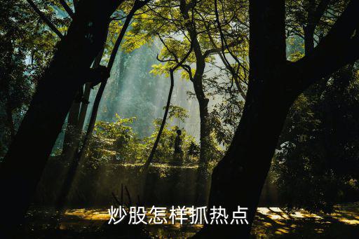 炒股怎样抓热点