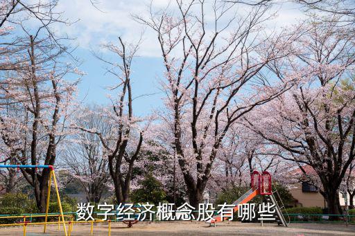 数字经济包括什么板块股票，软件板块有哪些股票