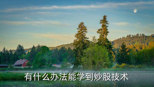 有什么办法能学到炒股技术