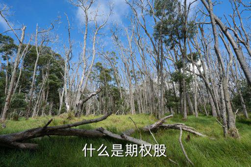 什么叫有价期权股票，什么是股票期权的价值