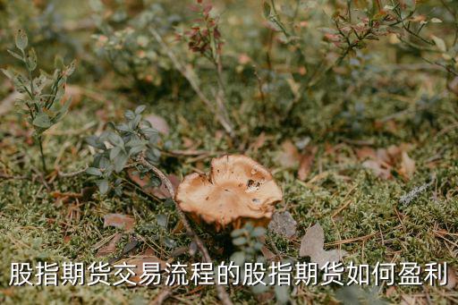股指期货交易流程的股指期货如何盈利