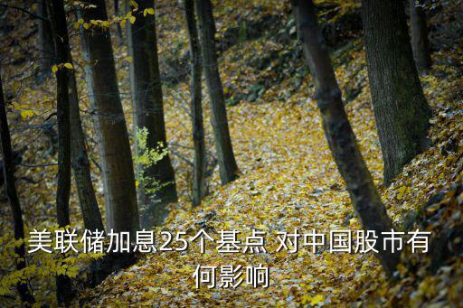 美联储股票怎么调整，美联储加息25个基点 对中国股市有何影响