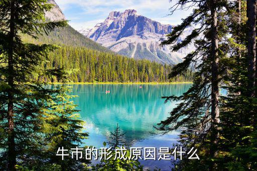 牛市的形成原因是什么