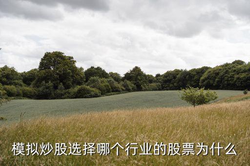 模拟炒股选择哪个行业的股票为什么