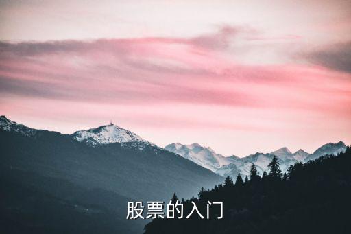 股票的入门
