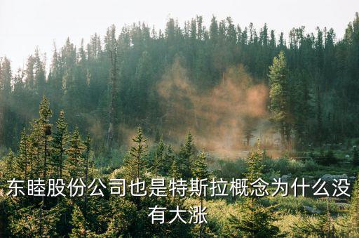 东睦股份公司也是特斯拉概念为什么没有大涨