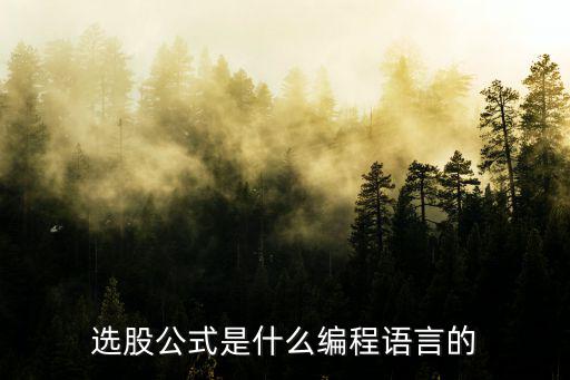 选股公式是什么编程语言的