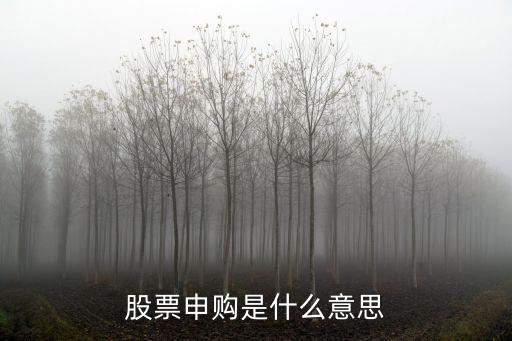 什么是股票发行与申购，什么是股票申购解释一下